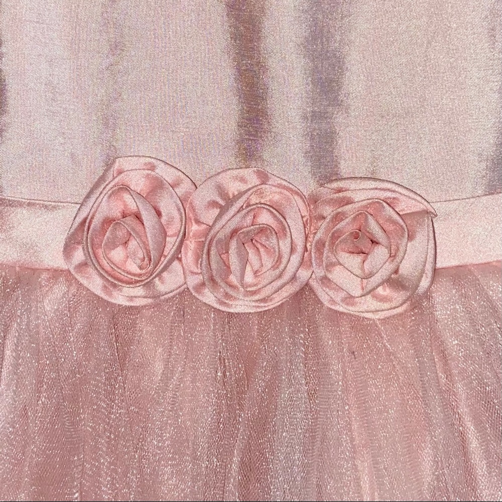 Flower Girl Dress 3T - Picture 2 of 10
